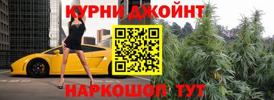 крисы Партизанск