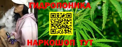 крисы Партизанск