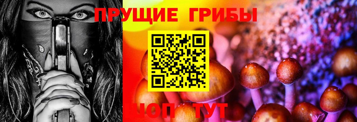 купить наркоту  Вход с VPN  Торжок  Псилоцибиновые грибы мухоморы 